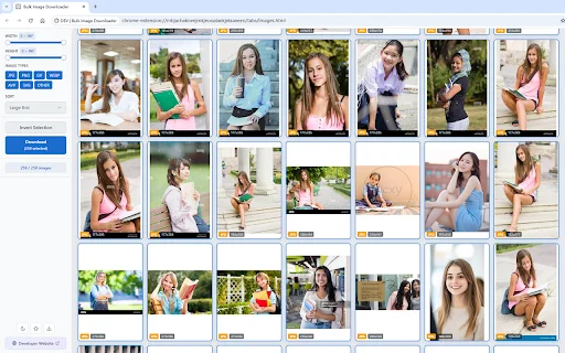 Bulk Image Downloader ดาวน์โหลดรูปภาพจำนวนมากได้รวดเร็วทันใจ - Screenshot 1